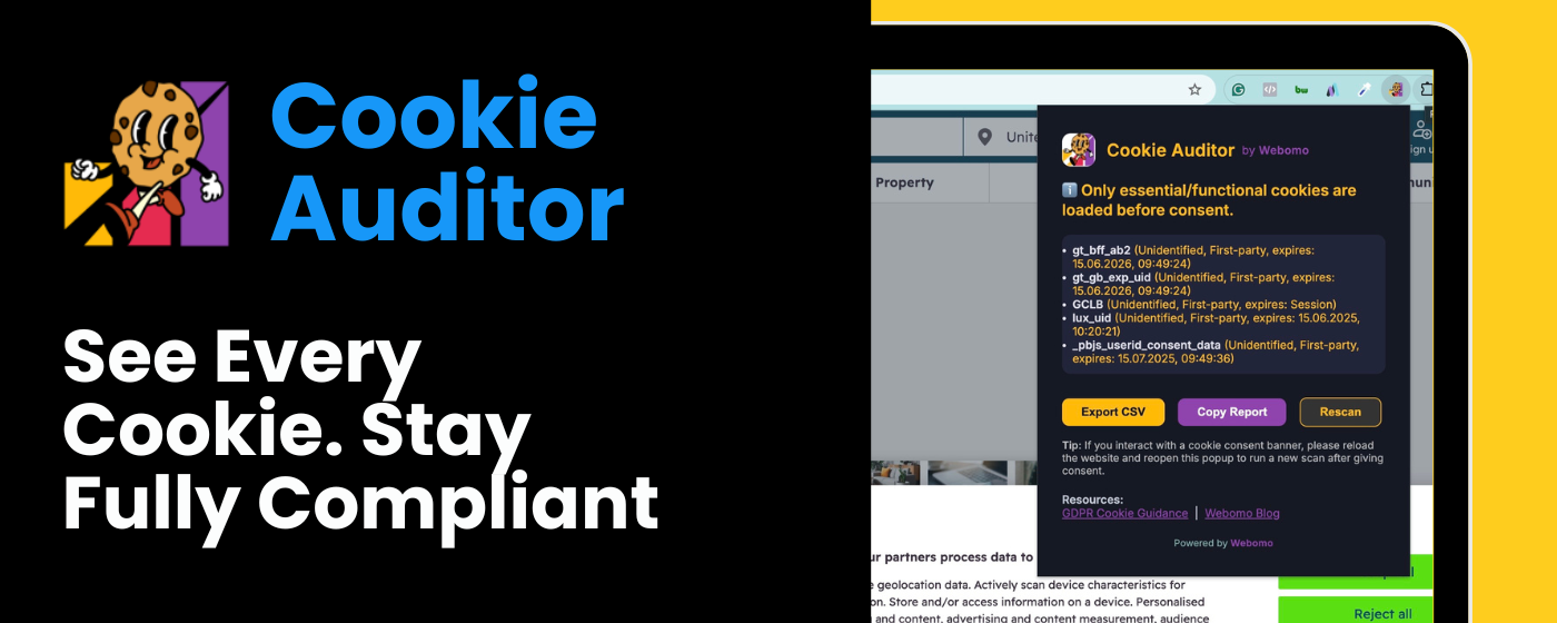 Cookie Auditor